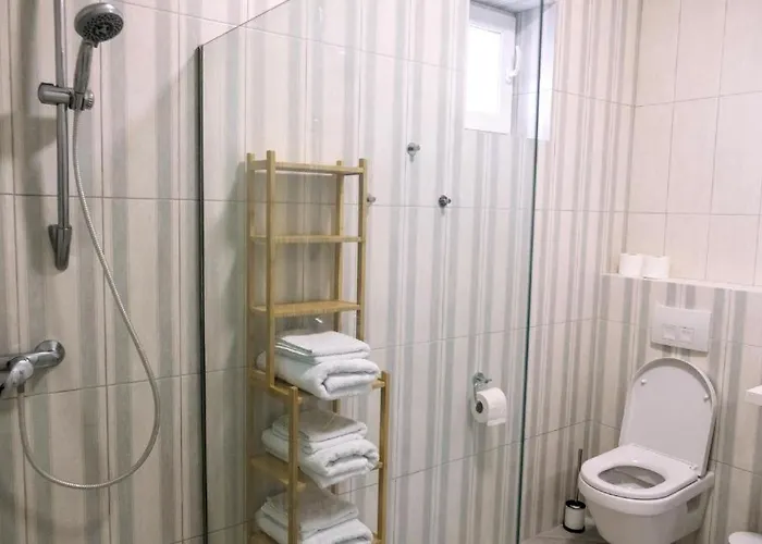 Silena Úzhgorod